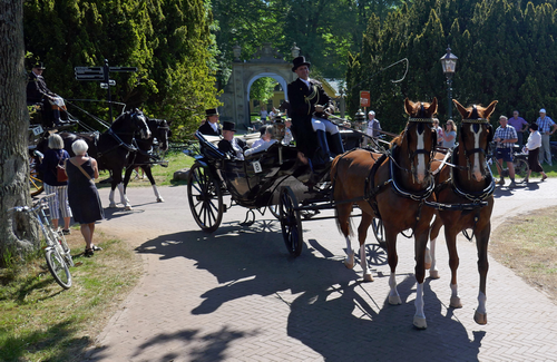 Koets met paarden op Nienoord